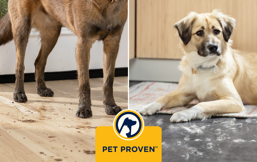 Ontworpen om deskundig huisdiervuil te verwijderen