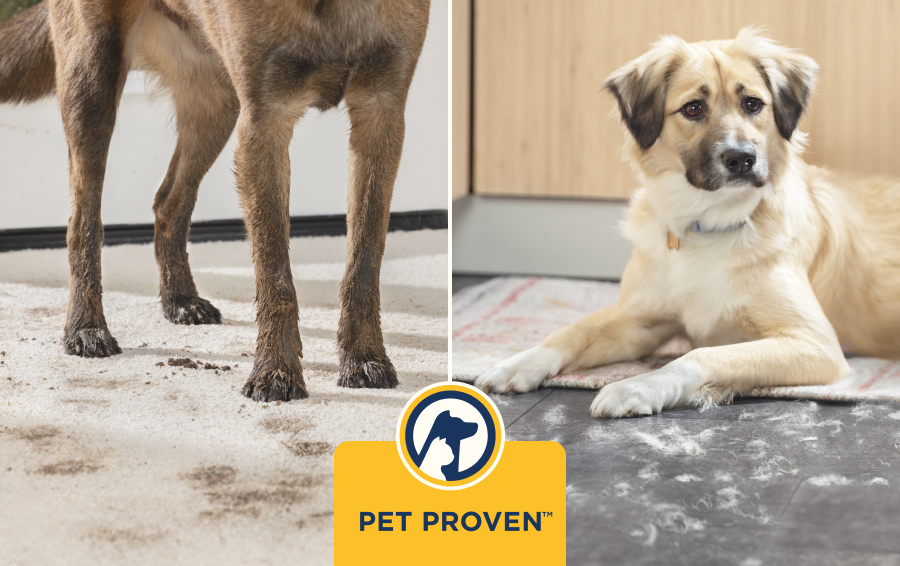 Engineered to Expertly Clean Pet Messes™