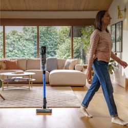 PowerClean FurFinder™